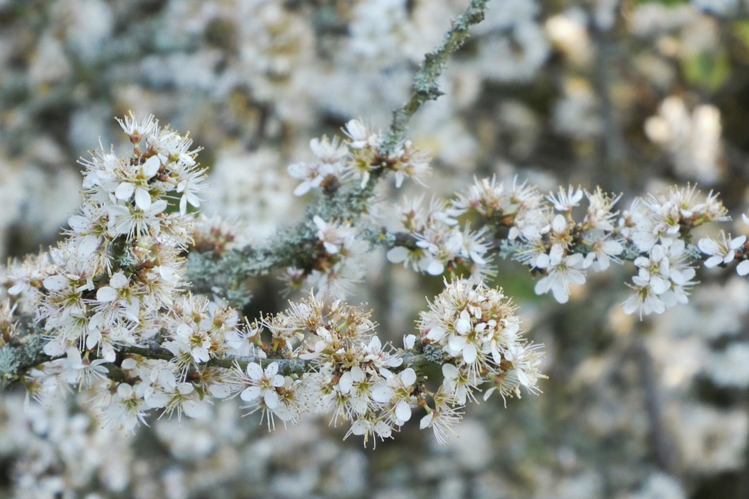 These Worst Cities Spring Allergies 2026: Fat Loss Guide